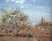 Camille Pissaro Orchard in Bloom at Louveciennes oil painting